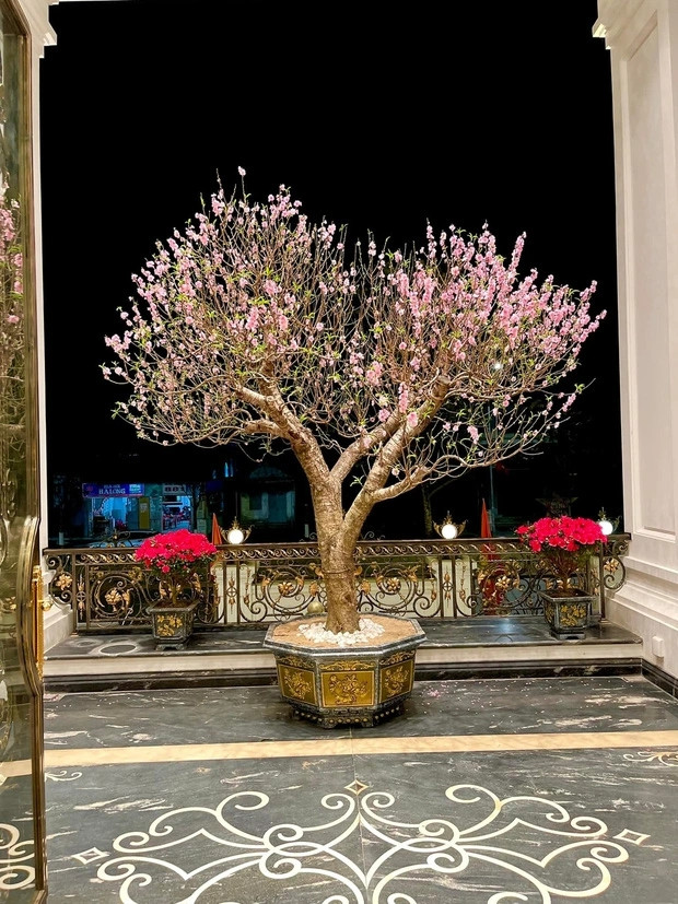 Cây đào rực rỡ ngay sảnh tầng 2. Ảnh: Doanhnghiep&amp;tiepthi