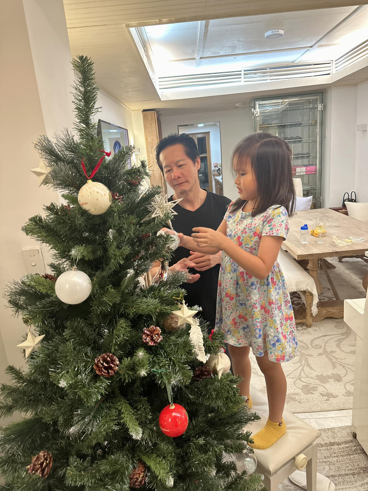 Đại gia Đức An - Phan Như Thảo đã có khoảng 8 năm bên nhau. Năm 2016, cả hai đón con gái Bồ Câu chào đời. Ảnh: FBNV