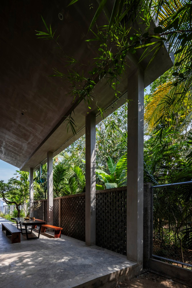 Sàn tầng trệt và các vách ngăn bằng gỗ làm nổi bật những hàng cây cao vút. Ảnh: Hiroyuki Oki