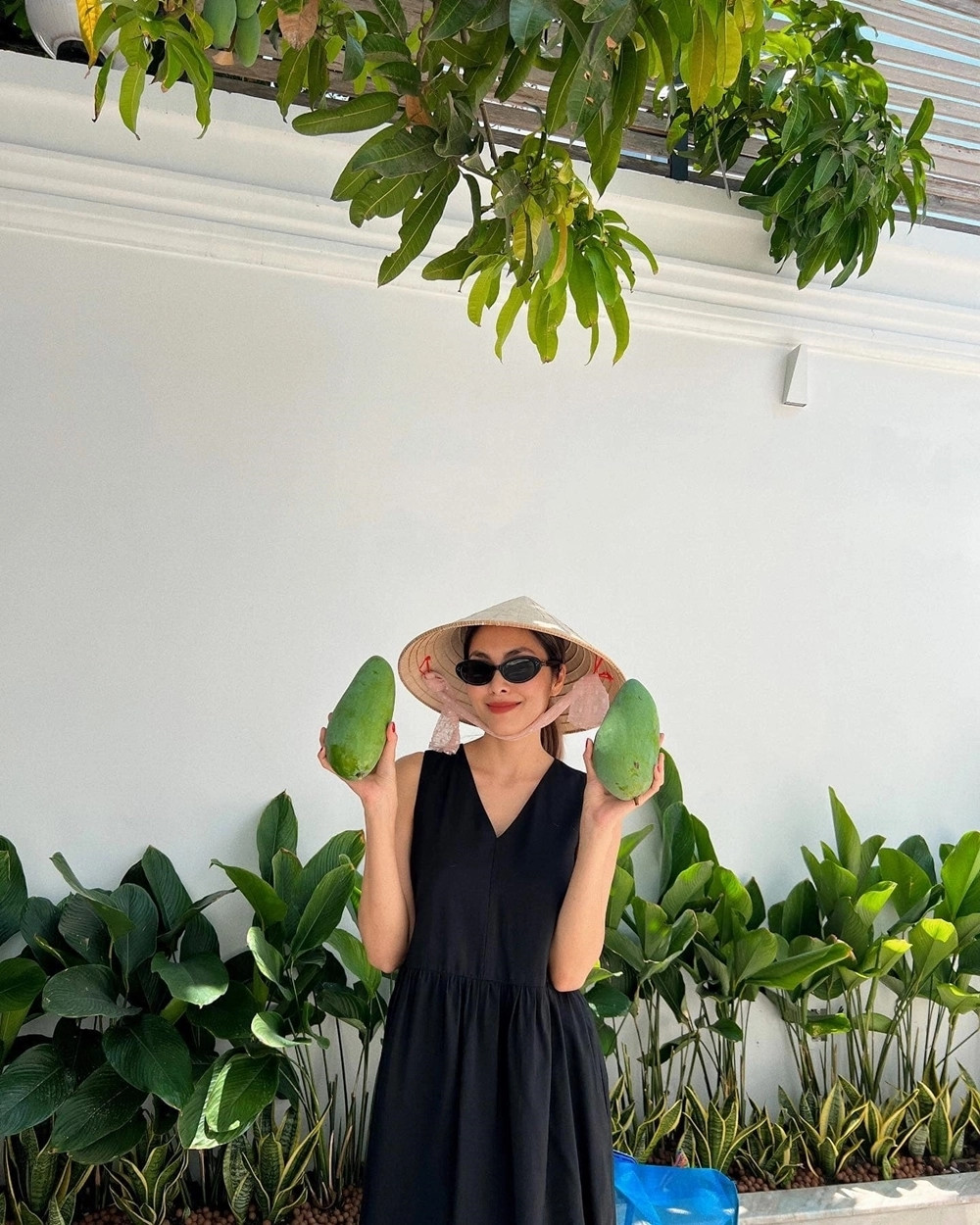 Trên trang cá nhân, "ngọc nữ" nhiều lần khoe thu hoạch ổi, xoài ngay tại căn biệt thự trắng giữa lòng thành phố.