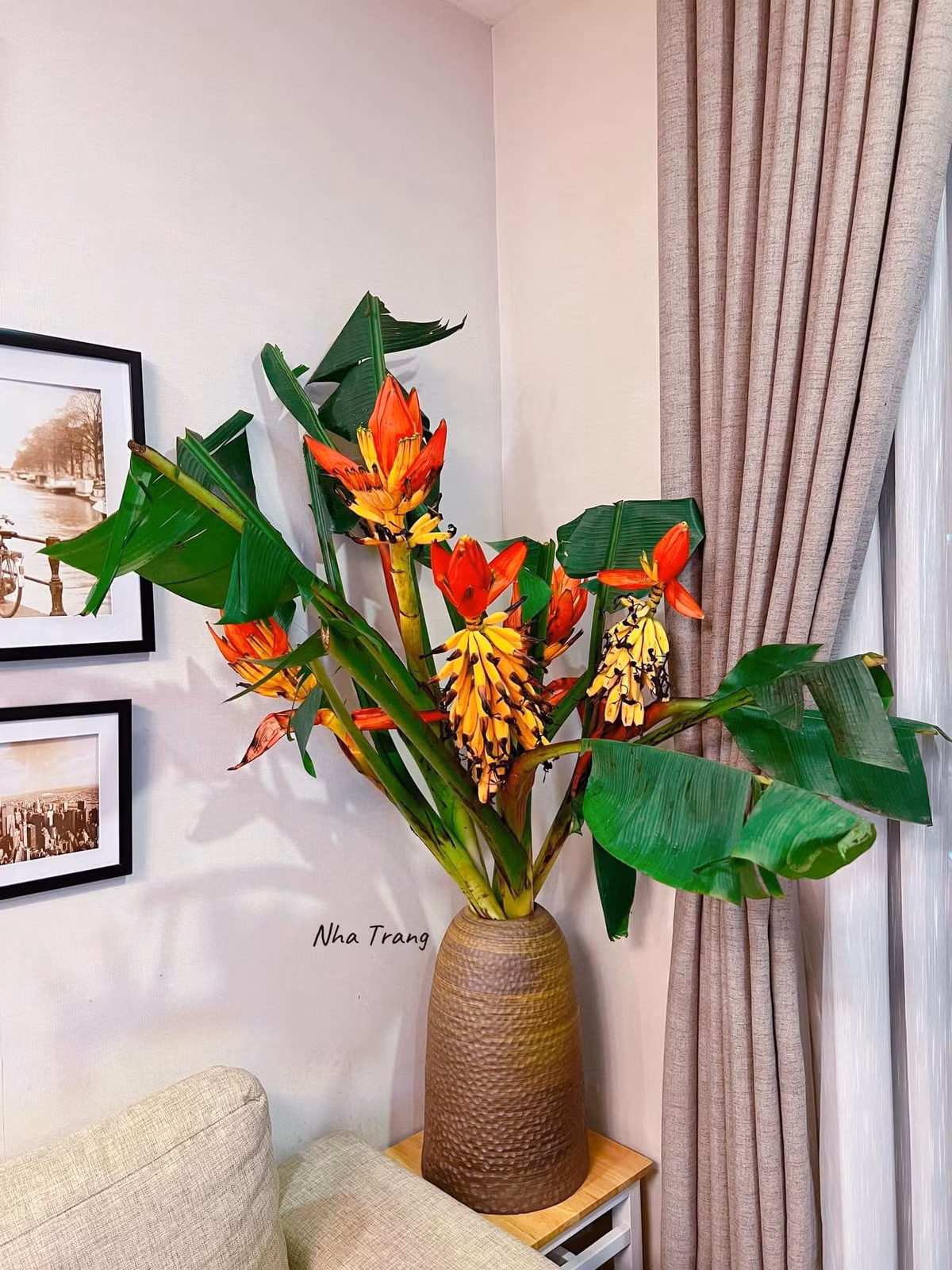 Nhưng thời gian gần đây, hoa chuối rừng được đưa về bán ở thành phố và tạo cơn sốt. Nhiều chị em Hà thành bỗng rộ lên phong trào mua hoa chuối rừng về cắm. Ảnh: Facebook