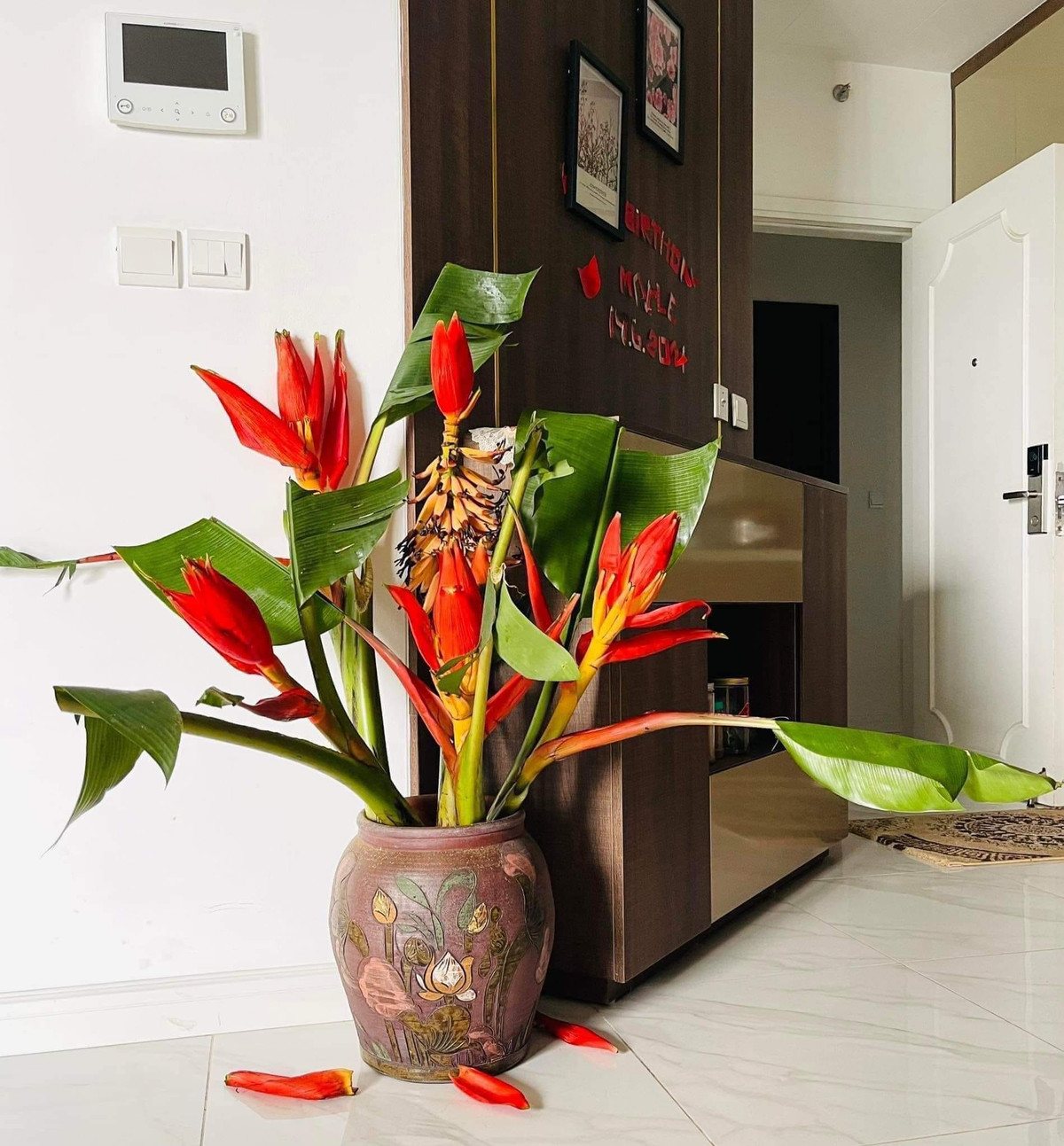 Bên cạnh đó, cành hoa chuối rất to và nặng, phải mua những chiếc bình có cổ rộng để cắm. Ảnh: Facebook