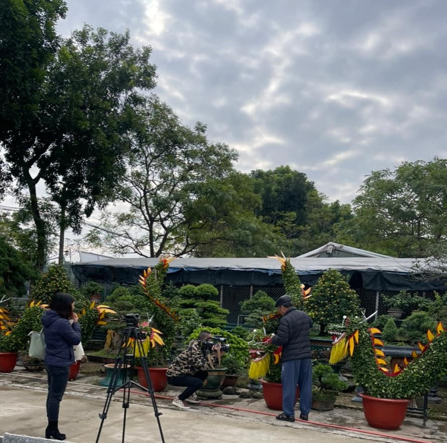 Ông Xuân tiết lộ, rồng cuốn có giá 25 triệu đồng và 50 triệu đồng cho cặp “vân long thủy". Ảnh: Cây cảnh Ngọc Xuân