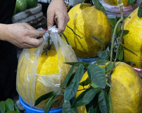 Khách hàng chỉ cần rửa qua bằng nước sạch, dùng khăn thấm rượu trắng lau qua để đẹp mã, tạo hương thơm dễ chịu hơn. Ảnh: Minh Đức