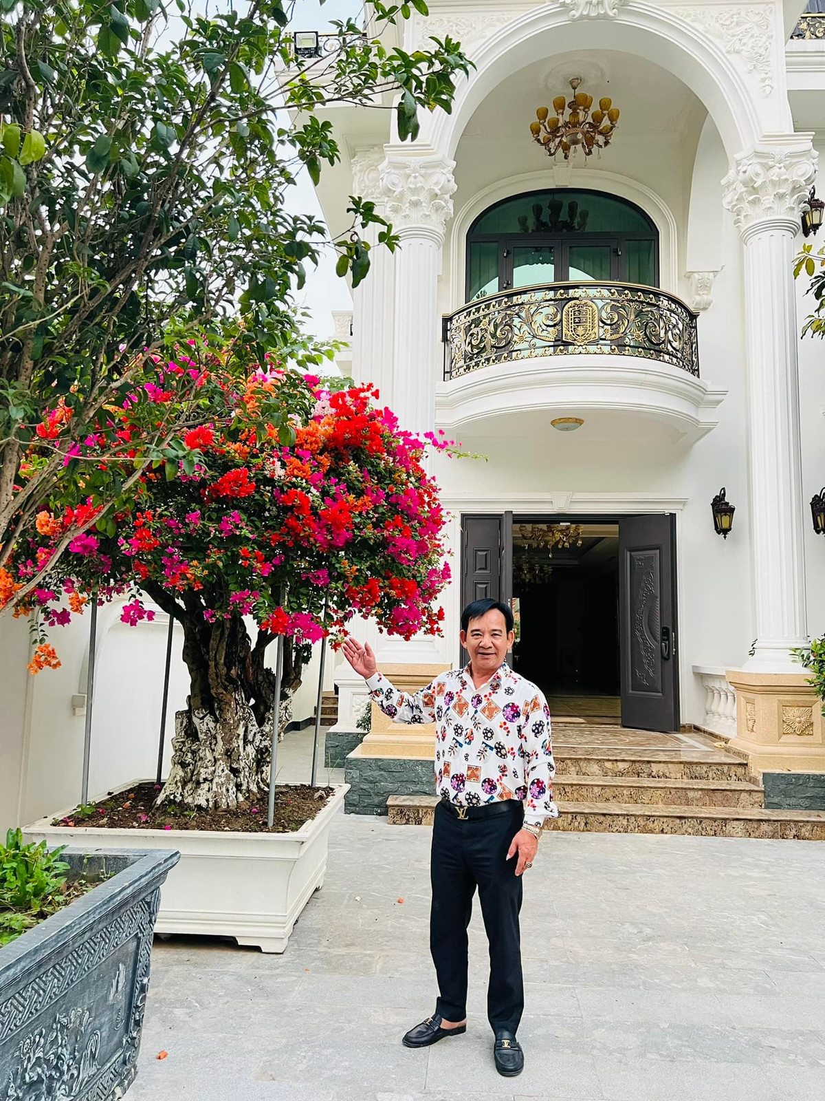 Cây hoa giấy bung nở rực rỡ. Ảnh: FB Tiến Quang