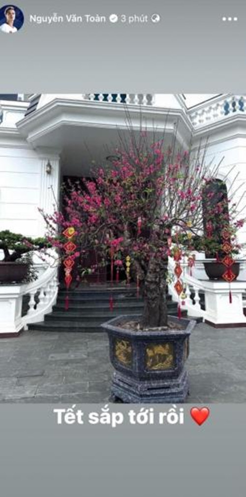 Trong sân của căn biệt thự, nam cầu thủ đặt một cây đào lớn, thân xù xì, nở nhiều hoa.