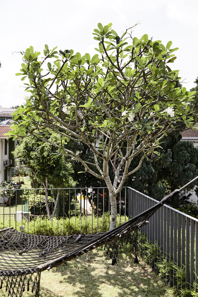 Dưới tác động đô thị hóa ở Singapore, ngôi nhà khiến gia chủ như lạc vào rừng nhiệt đới. Ảnh: Derek Swalwell