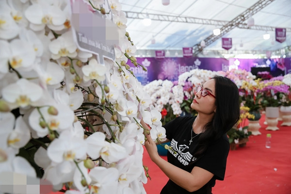 Đặc biệt, giá tiền và số cành hoa được đặt theo con số phong thủy là 86 (phát lộc), 68 (lộc phát). Ảnh: Dân trí