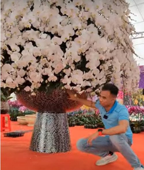 Quá trình chuẩn bị hoa, thiết kế và thực hiện chậu hoa mất khoảng 3 ngày bởi 5 người thợ. Ảnh: Tiktok