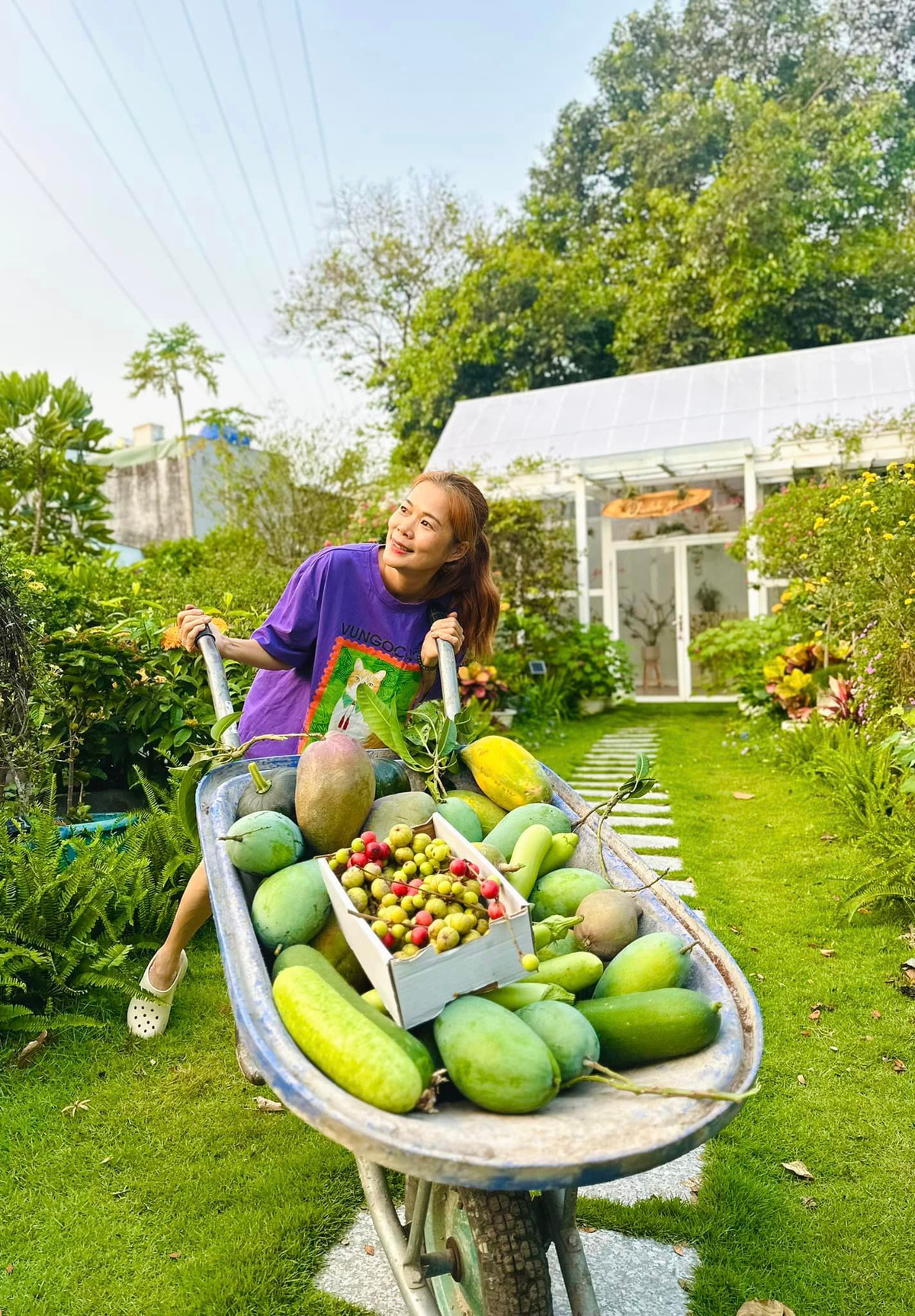 Nữ ca sĩ thu hoạch đủ các loại hoa trái trong vườn nhà. Nguồn ảnh; FBNV