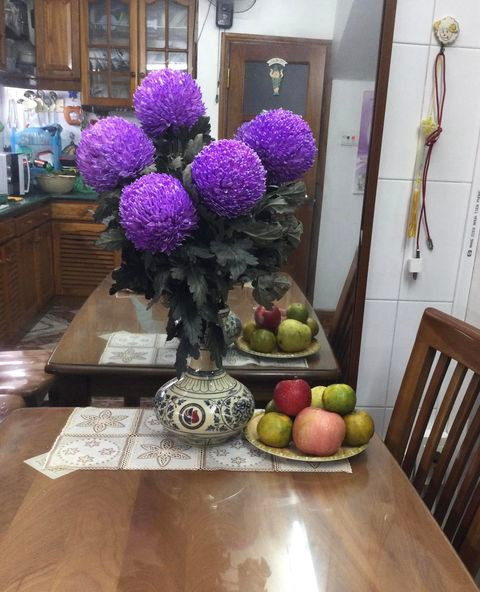 Hoa cúc tím cho không gian nhà thêm đậm nét xưa.