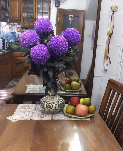 Hoa cúc tím cho không gian nhà thêm đậm nét xưa.