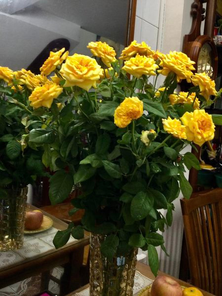 Vốn có sở thích cắm hoa và nấu nướng nên trong căn nhà của nghệ sĩ Minh Vượng luôn ngập tràn sắc hoa.