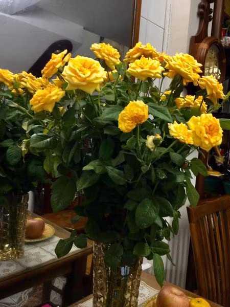 Vốn có sở thích cắm hoa và nấu nướng nên trong căn nhà của nghệ sĩ Minh Vượng luôn ngập tràn sắc hoa.