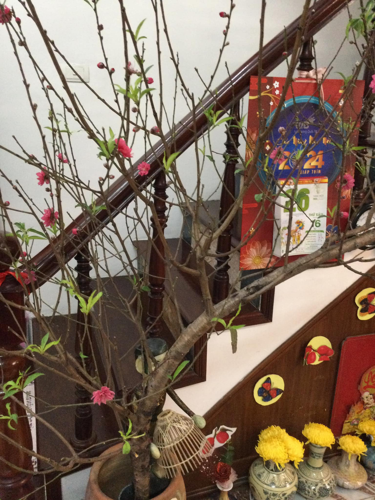 Khu vực cầu thang cũng được trang trí đẹp mắt. Nguồn ảnh: FBNV