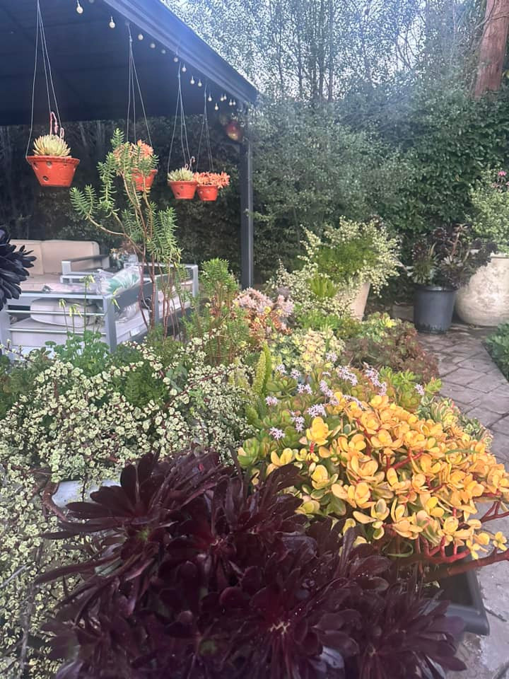 Trong đó, khu vườn ngập tràn hoa và trái cây thường xuyên được ca sĩ Hà Thanh Xuân chia sẻ trên trang cá nhân.