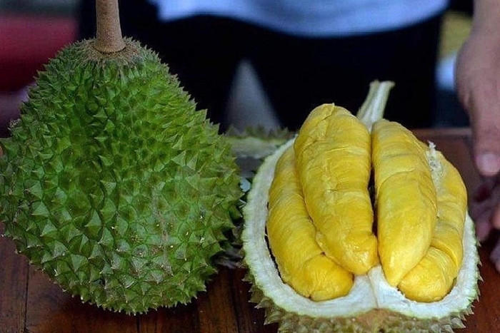 Tại các vùng trồng như Đắk Lắk, giá thu mua sỉ sầu riêng Musang King loại A (từ 1,6 kg – 3,5 kg) ở mức 86.000 – 92.000 đồng/kg, giảm khoảng 50%. Ảnh: Cánh Diều Việt