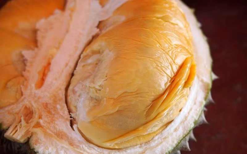 Sầu riêng Black Thorn được các nhà vườn Việt Nam đánh giá là có chất lượng múi ngang hàng nhập từ Malaysia. Ảnh: Facebook