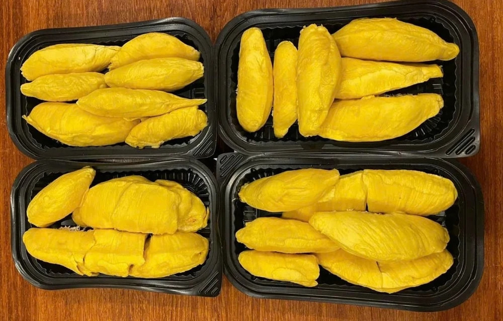 Dù giá vẫn còn cao nhưng so với cùng kỳ năm ngoái giá sầu riêng Musang King đã giảm hơn 50%. Ảnh: Plo