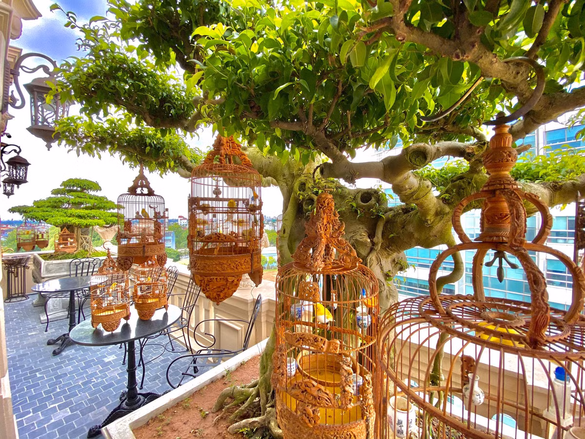 Vẻ đẹp mê mẩn của những chú chim quý giúp khơi nguồn sáng tạo trong công việc của nam doanh nhân. Ảnh: FB Chương Taylor