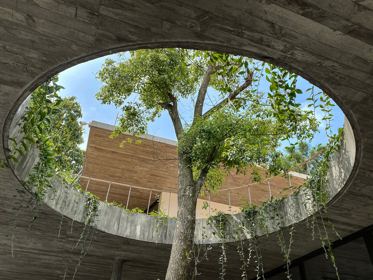 Khoảng không hở trồng nhiều cây xanh, giúp biệt thự trở nên xanh mát hơn.