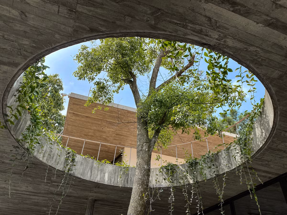 Khoảng không hở trồng nhiều cây xanh, giúp biệt thự trở nên xanh mát hơn.