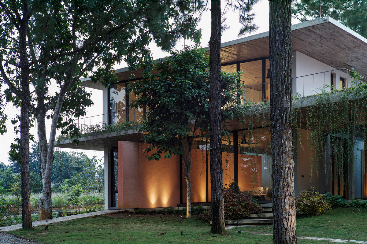 Mang cấu trúc trải rộng theo các hướng khác nhau nhưng khi thiết kế nhà, kiến trúc sư vẫn chừa chỗ cho những cây thông phát triển.