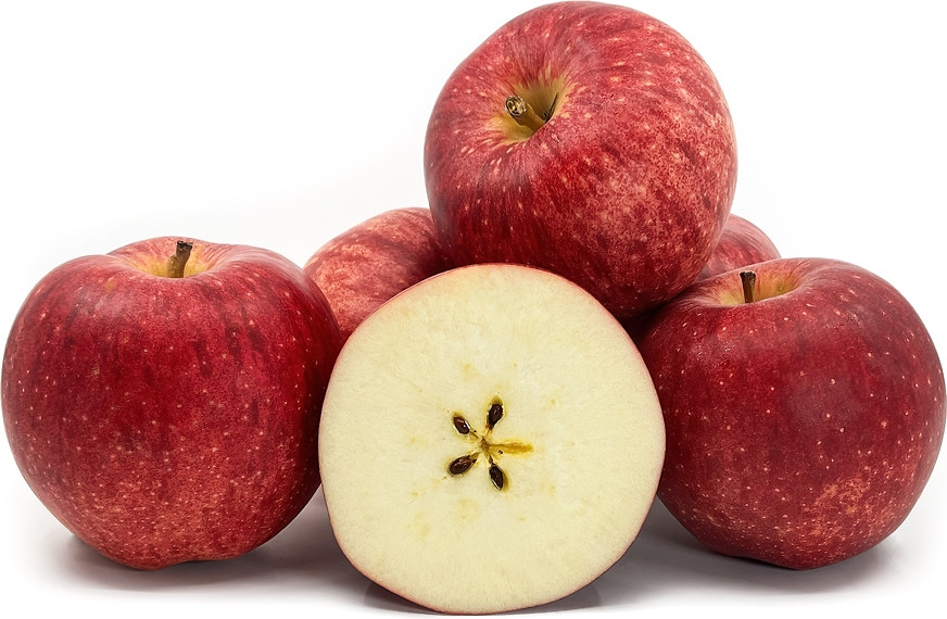 Không chỉ có kích thước lớn, táo Sekai-Ichi Nhật Bản còn có giá bán vào hạng đắt nhất thế giới, trên 21 USD/quả (trên 500.000 đồng). Ảnh: Specialty Produce