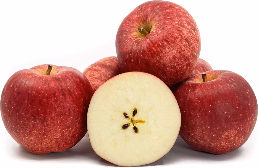 Không chỉ có kích thước lớn, táo Sekai-Ichi Nhật Bản còn có giá bán vào hạng đắt nhất thế giới, trên 21 USD/quả (trên 500.000 đồng). Ảnh: Specialty Produce