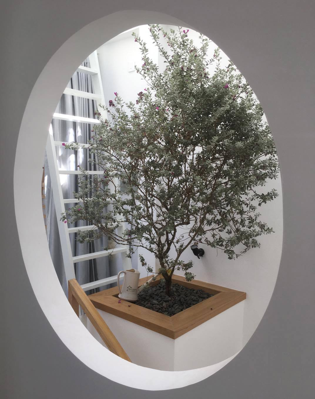 Cửa sổ với góc nhìn mang lại cảm giác an nhiên. Ảnh: T H I A architechture