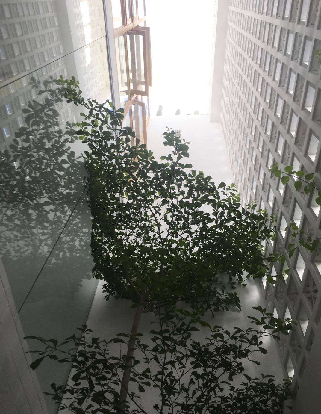 Đằng sau lớp mặt tiền gạch hoa gió là hệ cây xanh và một giếng trời nhỏ làm khu vực chuyển tiếp trước khi vào khối nhà chính. Thiết kế này vừa giải quyết vấn đề thông gió, đón sáng vừa hạn chế việc cản tầm nhìn trực tiếp từ phía nhà đối diện. Ảnh: T H I A architechture