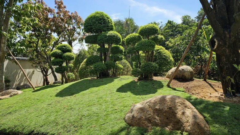 Vào ban ngày, khu vườn ngập tràn ánh nắng.