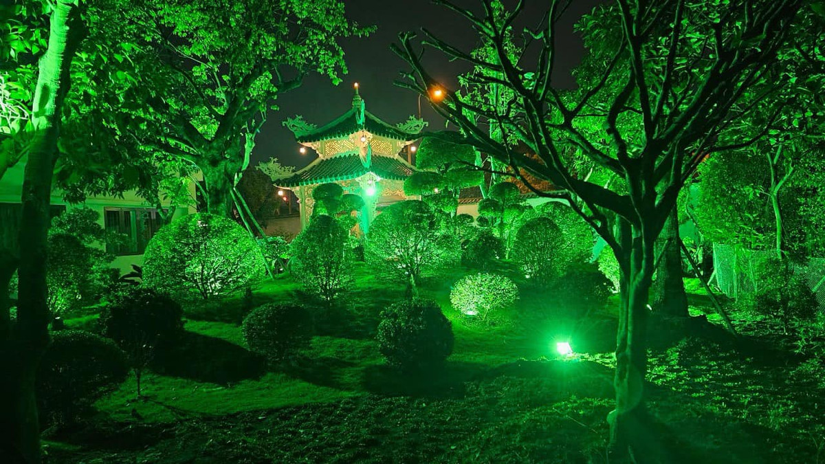 Khu vườn ấn tượng với nhiều cây xanh đẹp mắt.