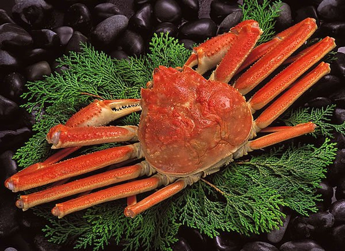 Cua tuyết được xem là một trong những đặc sản. Do đó, các nhà đấu giá Nhật Bản sẵn sàng chi ra một khoản tiền lớn để mua được những con đầu tiên của mùa đánh bắt. Ảnh: 21Food