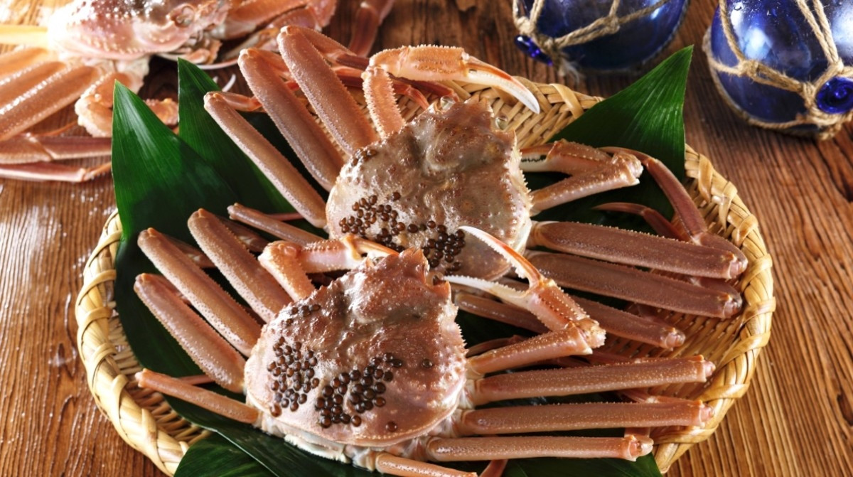 Tại Nhật Bản, cua tuyết được mệnh danh "vua của các món ngon" vào mùa đông. Hokkaido là nơi tập trung những loại cua ngon và hảo hạng nhất. Bên cạnh đó, tỉnh Niigata cũng cực kỳ nổi tiếng với đặc sản cua tuyết. Ảnh: Men's Journal