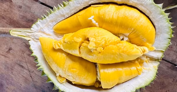 Trong khi sầu riêng Musang King nhập từ Malaysia (tách vỏ, đông lạnh) có giá 1,3-1,5 triệu đồng một kg cho hàng loại A. Ảnh: Vietnamnet.