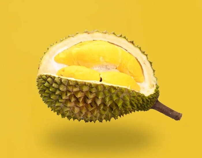 Sầu riêng Musang King được mệnh danh là vua của các loại sầu riêng, là sầu riêng ngon nhất thế giới. Ảnh: LatestMalaysia