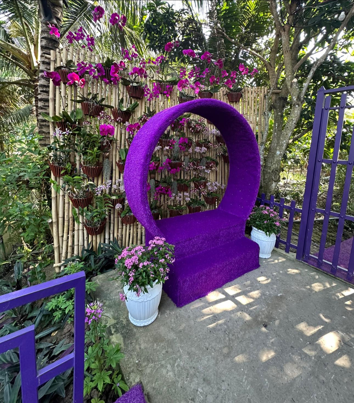 Rất nhiều vật dụng trang trí khác như xe đạp, xích đu, ghế ngồi cũng được sơn màu tím nổi bật. Ảnh: Facebook