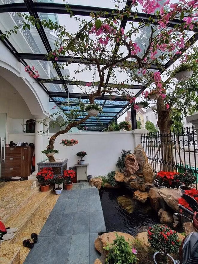 Khoảng sân nhỏ trước nhà còn có một hồ cá và giàn hoa giấy đẹp mắt.