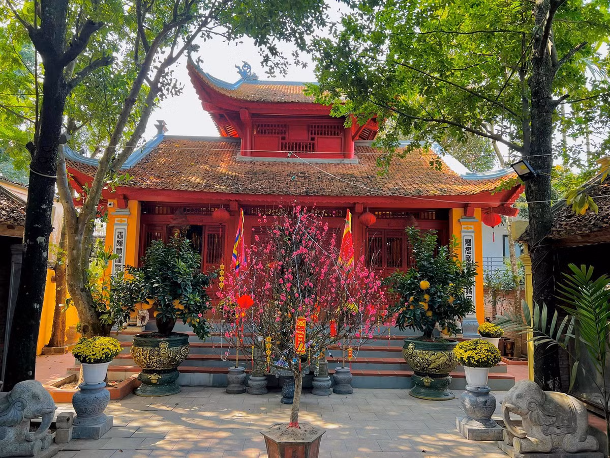 Đón Tết Giáp Thìn 2024, nghệ sĩ Vượng Râu trang hoàng cho căn biệt phủ với nhiều cây cảnh và hoa tươi như đào, quất, cúc mâm xôi, bưởi Diễn...