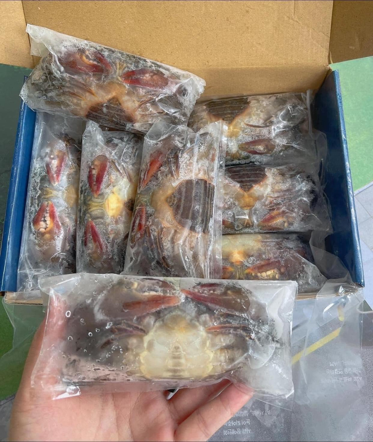 Chị Hoa (một người bán hải sản online) cho biết, cua lột nhập khẩu từ Myanmar. Cua lột vỏ mềm oặt và khó sống nên nhà máy cấp đông theo dây chuyền hiện đại, để đảm bảo cua vẫn tươi ngon.