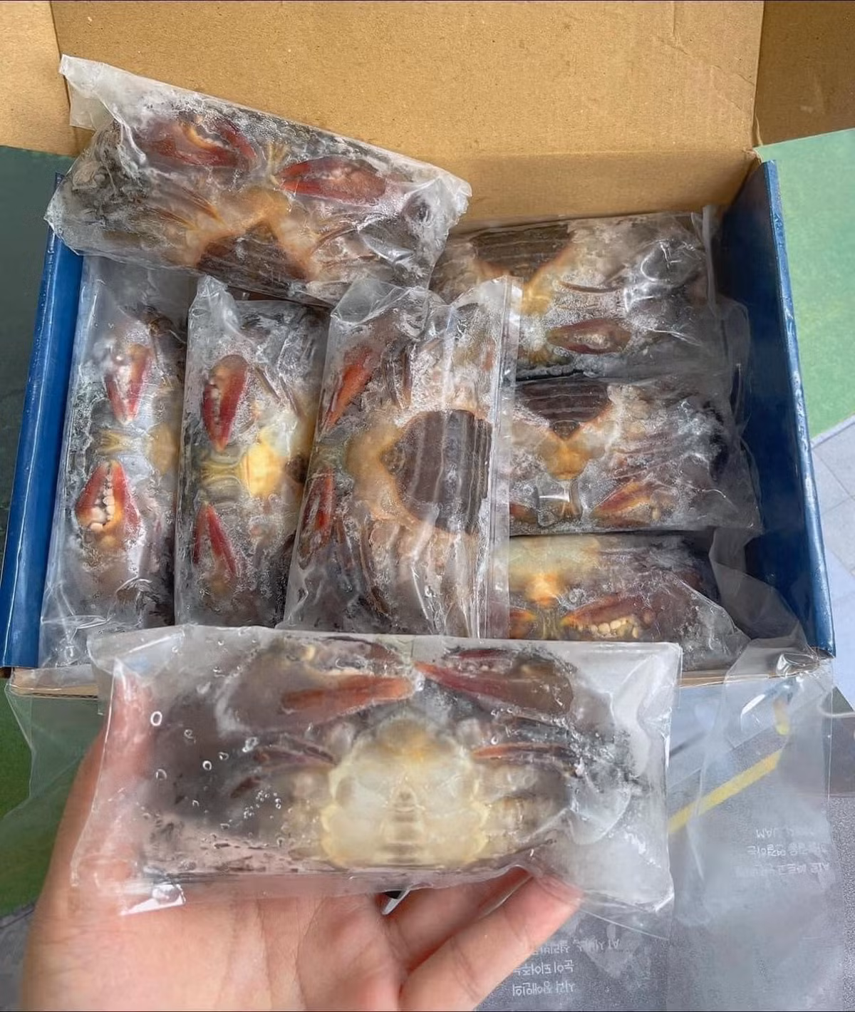 Chị Hoa (một người bán hải sản online) cho biết, cua lột nhập khẩu từ Myanmar. Cua lột vỏ mềm oặt và khó sống nên nhà máy cấp đông theo dây chuyền hiện đại, để đảm bảo cua vẫn tươi ngon.