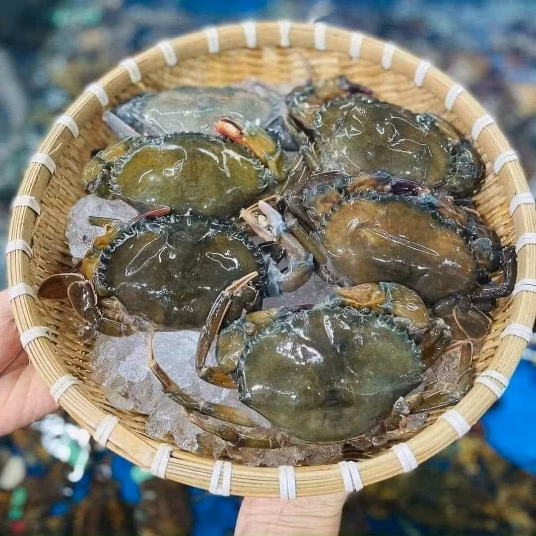 Tuy nhiên, thời gian gần đây trên các chợ hải sản online và khu chợ của cư dân chung cư, cua lột được rao bán nhiều với giá từ 200.000-350.000 đồng một kg (tùy kích cỡ), rẻ bằng nửa so với trước đây.