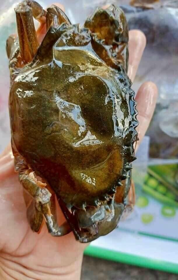 Tính ra, mỗi con cua lột giá siêu rẻ chỉ từ 25.000 - 40.000 đồng.