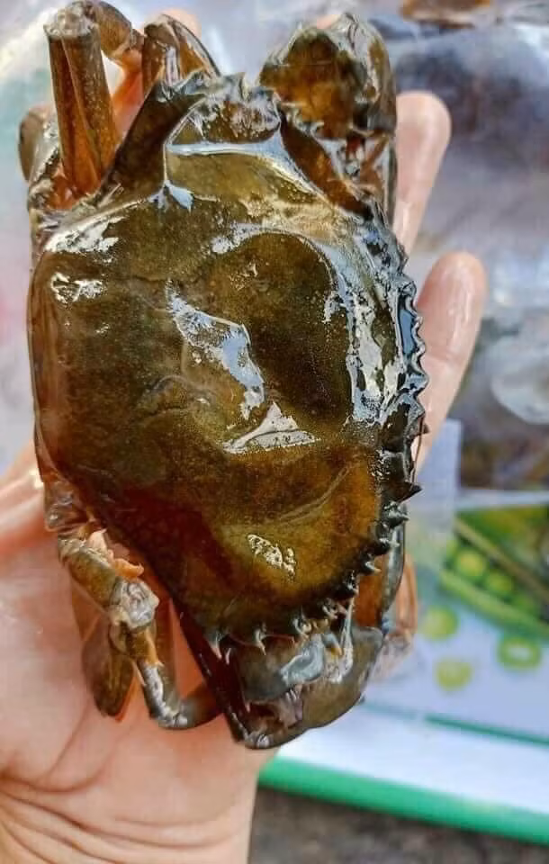 Tính ra, mỗi con cua lột giá siêu rẻ chỉ từ 25.000 - 40.000 đồng.