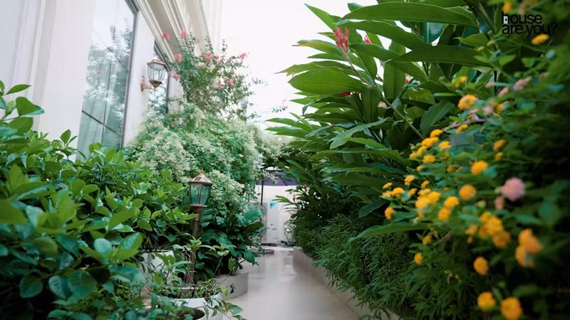  Vợ chồng Huyền Baby cho trồng rất nhiều loại hoa, cây trong khoảng sân vườn. Ảnh: FBNV