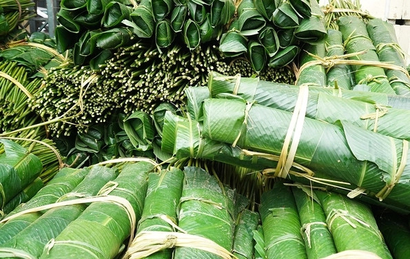 Lá dong được bó cẩn thận trước khi mang đi tiêu thụ. Ảnh: Suckhoedoisong