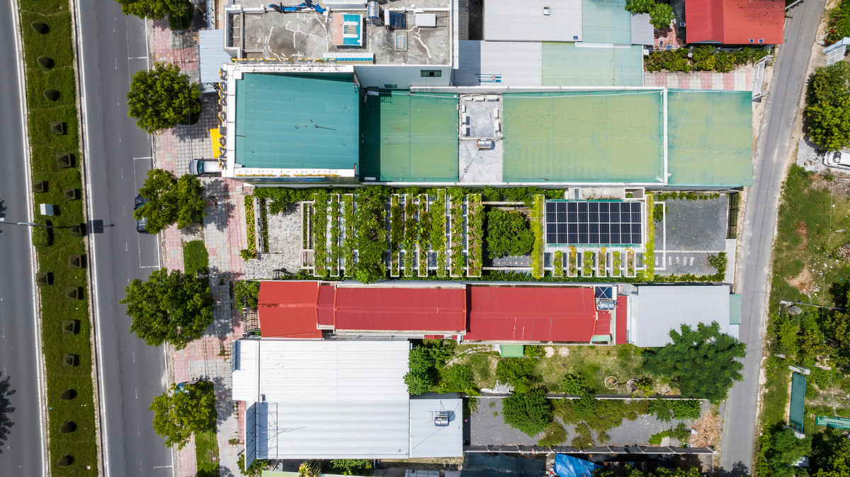 Nước từ bể cá được lọc và bơm tự động cấp nước cho các chậu cây xanh trên mái nhà, khu vườn xung quanh. Vòng tuần hoàn giúp bảo tồn tài nguyên nước.