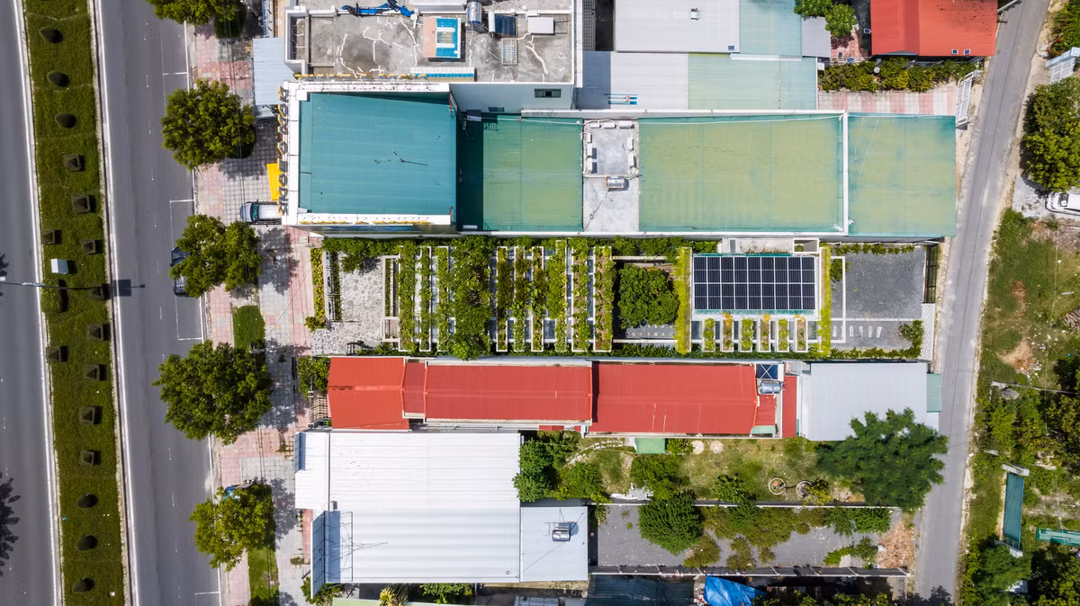 Với tốc độ đô thị hóa nhanh, các thành phố lớn tại Việt Nam phải đối mặt với những thách thức đáng kể như thiếu không gian xanh, nhiệt độ không khí tăng cao, ô nhiễm môi trường và gia tăng lượng khí thải.