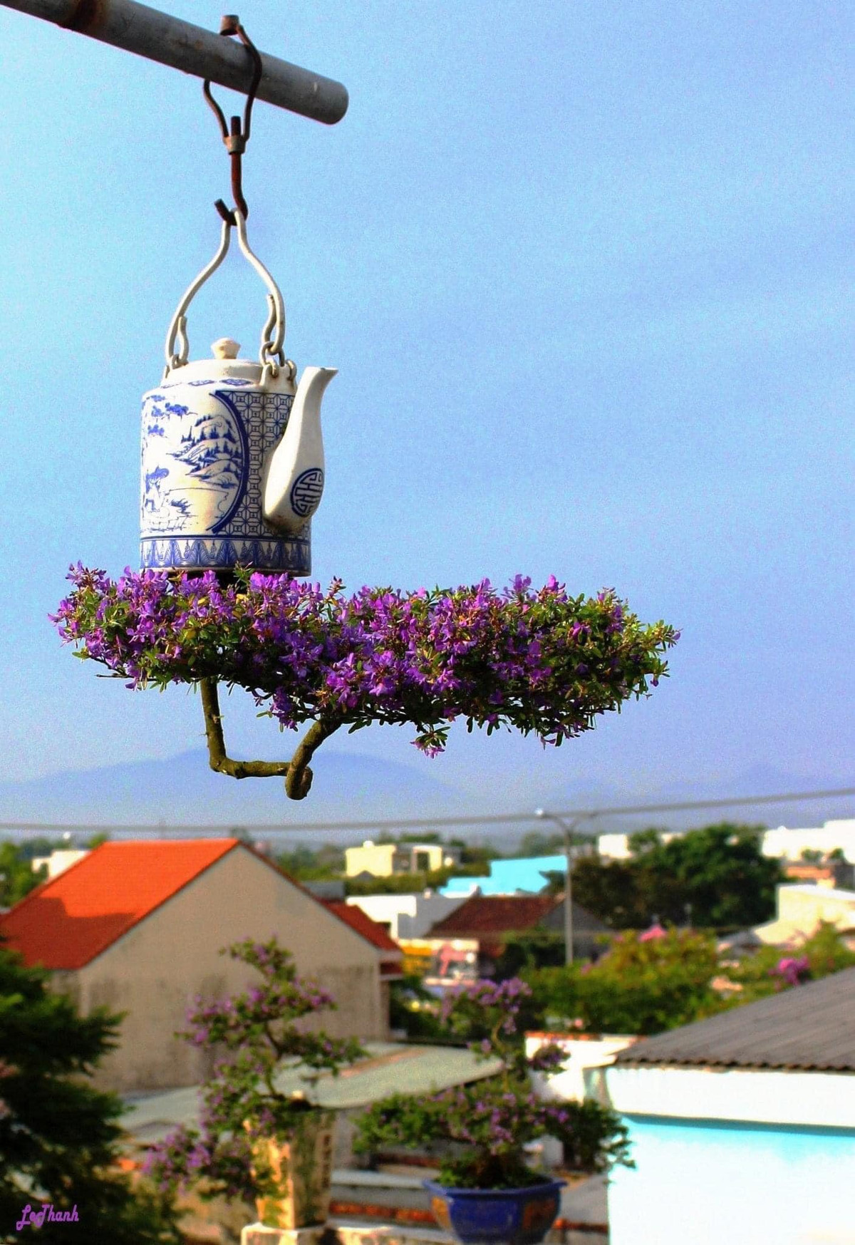 Việc tạo tác, chăm sóc bonsai đòi hỏi sự tỉ mỉ và phải có ý tưởng riêng. Ảnh: FB Lê Thạnh